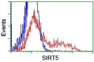 Flow Cytometry (FACS) image for anti-Sirtuin 5 (SIRT5) antibody (ABIN1500930) (SIRT5 Antikörper)