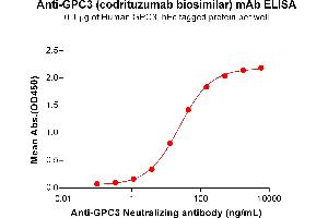 ELISA plate pre-coated by 1 μg/mL (100 μL/well) Human Protein, hFc Tag (ABIN7092674, ABIN7272488 and ABIN7272489) can bind Anti- Neutralizing antibody (ABIN7477988 and ABIN7490914) in a linear range of 1. (Rekombinanter GPC3 (Codrituzumab Biosimilar) Antikörper)