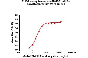 Elisa plates were pre-coated with 0. (TM4SF1 Protein)