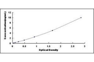 Typical standard curve (BHLHA15 ELISA Kit)