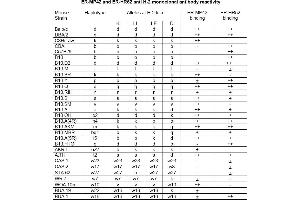 Antigen distribution: (MHC Class I H-2Dd, H-2(k,q,s) Antikörper)