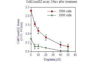 Image no. 3 for CellCountEZ™ Cell Survival Assay Kit (ABIN1607918)