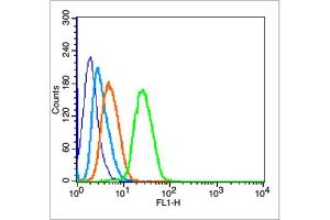 MCF7 cells were fixed with 70% ice-cold methanol overnight at 4℃, permeabilized with 90% ice-cold methanol for 20 min at -20℃, and incubated in 5% BSA blocking buffer for 30 min at room temperature. (p53 Antikörper  (pSer315))