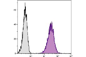 DBA/2 mouse mastocytoma cell line P815 and mB7. (CD80 Antikörper  (SPRD))