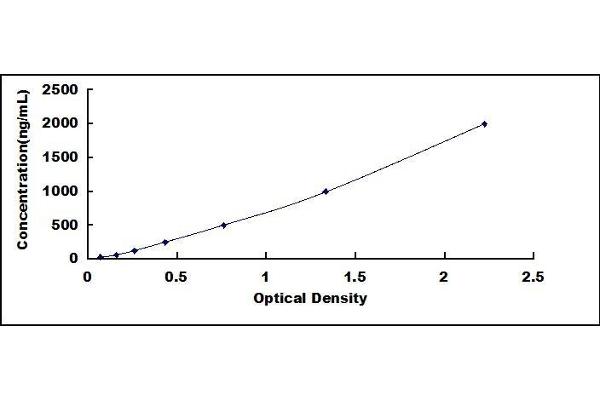 IgM ELISA Kit