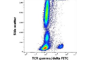 Flow cytometry surface staining pattern of human peripheral whole blood stained using anti-human TCR gamma/delta (11F2) FITC antibody (4 μL reagent / 100 μL of peripheral whole blood). (TCR gamma/delta Antikörper  (FITC))