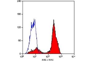 Staining of human peripheral blood lymphocytes with MOUSE ANTI HUMAN CD2 (ABIN119502). (CD2 Antikörper)