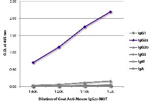 ELISA plate was coated with purified mouse IgG1, IgG2a, IgG2b, IgG3, IgM, and IgA. (Ziege anti-Maus IgG2a Antikörper (Biotin))