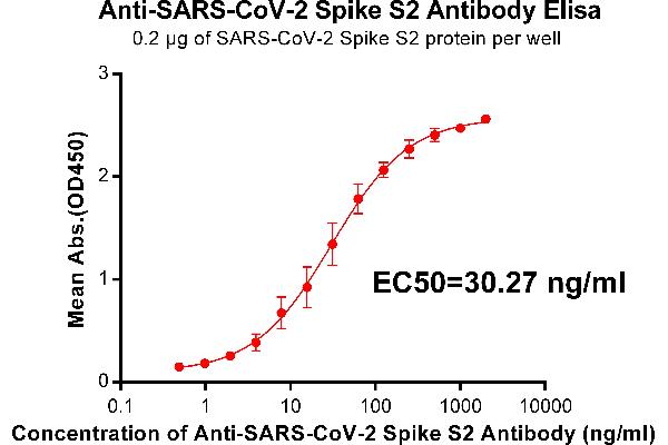 SARS-CoV-2 Spike S2 Antikörper