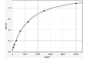 Typical standard curve (BDH1 ELISA Kit)