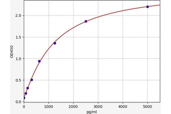 BDH1 ELISA Kit