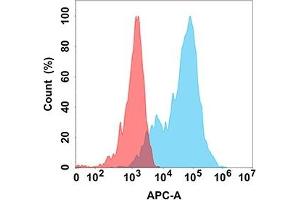 Flow cytometry analysis with Anti-E (DM162) on Expi293 cells transfected with human E (Blue histogram) or Expi293 transfected with irrelevant protein (Red histogram). (EPH Receptor A3 Antikörper  (AA 21-541))