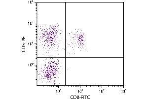 Feline peripheral blood lymphocytes were stained with Mouse Anti-Feline CD5-PE. (CD5 Antikörper  (PE))