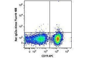 Flow Cytometry (FACS) image for Rat anti-Mouse IgM antibody (Alexa Fluor 488) (ABIN2667223) (Ratte anti-Maus IgM Antikörper (Alexa Fluor 488))