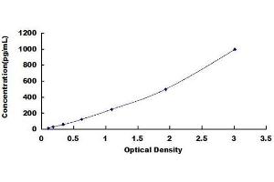 Typical standard curve (tau ELISA Kit)