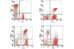 Flow Cytometry (FACS) image for anti-CD3,CD4,CD8,HLA-DR antibody (FITC,PE,PE-Cy5,APC) (ABIN2144742) (CD3,CD4,CD8,HLA-DR Antikörper (FITC,PE,PE-Cy5,APC))