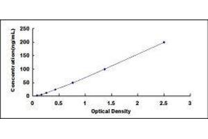 ELISA image for Glucuronic Acid Epimerase (GLCE) ELISA Kit (ABIN437538) (GLCE ELISA Kit)