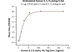 Immobilized Biotinylated Human IL-2, Fc,Avitag (ABIN6731255,ABIN6809921) at 1 μg/mL (100 μL/well) on streptavidin precoated (0. (IL-2 Protein (AA 21-153) (Fc Tag,AVI tag,Biotin))