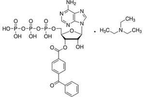 Molecule (M) image for BzATP (ABIN5022413)