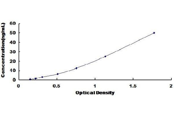 SEMA5A ELISA Kit