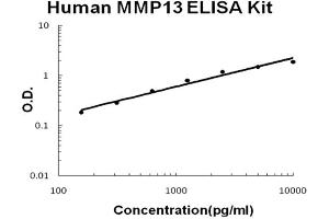 Human MMP13 Accusignal ELISA Kit Human MMP13 AccuSignal ELISA Kit standard curve. (MMP13 ELISA Kit)