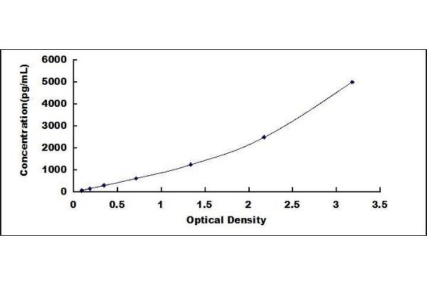 WNT16 ELISA Kit