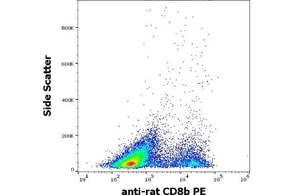 CD8B Antikörper  (PE)