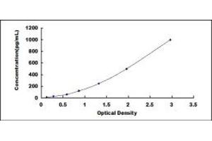 Typical standard curve (VEGF145 ELISA Kit)