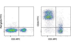 Image no. 1 for anti-CD24 Molecule (CD24) antibody (FITC) (ABIN474789) (CD24 Antikörper  (FITC))