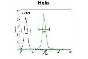 Flow Cytometry (FACS) image for anti-2-Aminoethanethiol (Cysteamine) Dioxygenase (ADO) antibody (ABIN2996008) (ADO Antikörper)