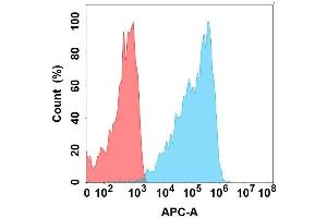 Flow cytometry analysis with Anti-CD on Expi293 cells transfected with human CD (Blue histogram) or Expi293 transfected with irrelevant protein (Red histogram). (CLEC2D Antikörper)