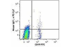 Flow Cytometry (FACS) image for anti-Chemokine (C-X-C Motif) Receptor 5 (CXCR5) antibody (PE-Cy7) (ABIN2659139) (CXCR5 Antikörper  (PE-Cy7))