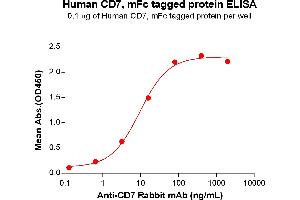 ELISA plate pre-coated by 1 μg/mL (100 μL/well) Human CD7 Protein, mFc Tag (ABIN6961151, ABIN7042331 and ABIN7042332) can bind Anti-CD7 Rabbit mAb in a linear range of 3. (CD7 Protein (CD7) (AA 26-180) (mFc Tag))