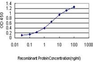Detection limit for recombinant GST tagged ACOX2 is approximately 0. (Acox2 Antikörper  (AA 582-681))