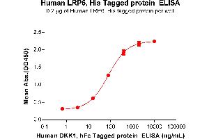 ELISA plate pre-coated by 5 μg/mL (100 μL/well) Human Protein, His Tag (ABIN7455721, ABIN7491292 and ABIN7491293) can bind Human Protein, hFc Tag(ABIN7092683, ABIN7272242 and ABIN7272243) in a linear range of 16-400 ng/mL. (LRP6 Protein (AA 20-1370) (His tag))