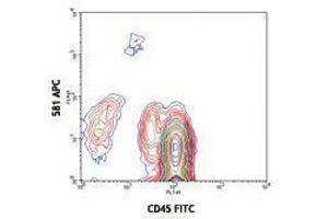 Flow Cytometry (FACS) image for anti-CD34 (CD34) antibody (APC) (ABIN2658629) (CD34 Antikörper  (APC))