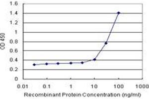 Sandwich ELISA detection sensitivity ranging from 10 ng/mL to 100 ng/mL. (C17orf75 (Human) Matched Antibody Pair)