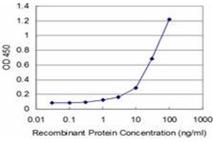 Detection limit for recombinant GST tagged TESK2 is approximately 1ng/ml as a capture antibody. (TESK2 Antikörper  (AA 405-542))