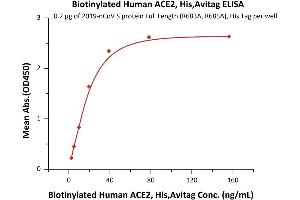 ELISA image for Angiotensin I Converting Enzyme 2 (ACE2) protein (His tag,AVI tag,Biotin) (ABIN6952431)