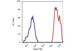 Surface staining of human platelets with anti-CD36 (TR9) FITC. (CD36 Antikörper  (FITC))