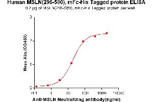 ELISA plate pre-coated by 2 μg/mL (100 μL/well) Human Mesothelin, mFc-His tagged protein (ABIN6961104, ABIN7042237 and ABIN7042238) can bind Anti-Mesothelin Neutralizing antibody ([getskuurl sku