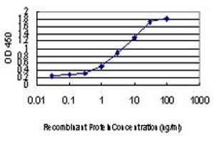 ELISA image for anti-Forkhead Box A2 (FOXA2) (AA 363-458) antibody (ABIN466039) (FOXA2 Antikörper  (AA 363-458))