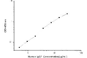 Typical standard curve (IgG2 ELISA Kit)