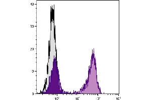 BALB/c mouse splenocytes were stained with Hamster Anti-Mouse CD79b-FITC. (CD79b Antikörper  (FITC))