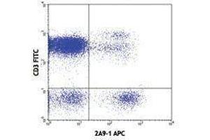 Flow Cytometry (FACS) image for anti-Chemokine (C-X3-C Motif) Receptor 1 (CX3CR1) antibody (APC) (ABIN2658299) (CX3CR1 Antikörper  (APC))