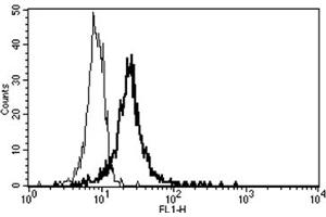 Flow Cytometry (FACS) image for anti-Thrombomodulin (THBD) antibody (ABIN1105877) (Thrombomodulin Antikörper)