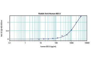 Image no. 1 for anti-Defensin beta 3 (DEFB3) antibody (ABIN464867) (Defensin beta 3 Antikörper)