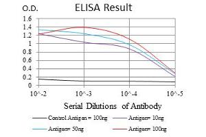 ELISA image for anti-Neurofilament, Light Polypeptide (NEFL) antibody (ABIN1108417) (NEFL Antikörper)