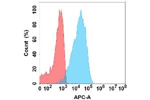 Flow cytometry analysis with Anti-IL22 on Expi293 cells transfected with human IL22 (Blue histogram) or Expi293 transfected with irrelevant protein (Red histogram). (IL-22 Antikörper)