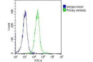 Overlay histogram showing Hela cells stained with (ABIN6244301 and ABIN6578675) (green line). (alpha Tubulin Antikörper  (AA 408-439))